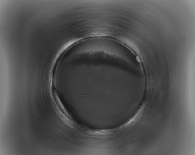 X0000088141179200705211130