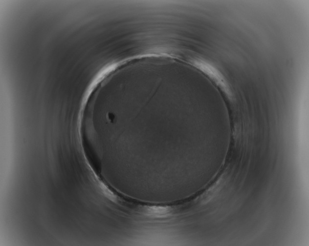 X0000088141180200705211130