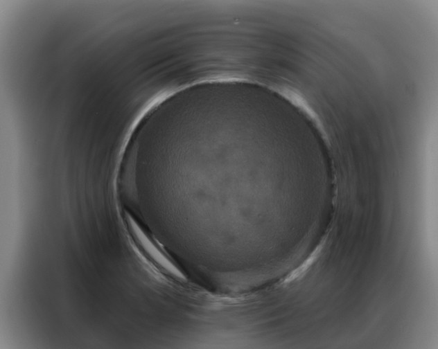 X0000088141181200705211130