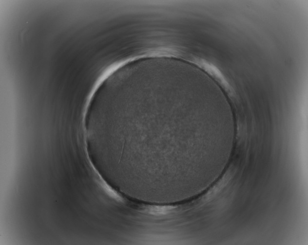 X0000088141184200705211130