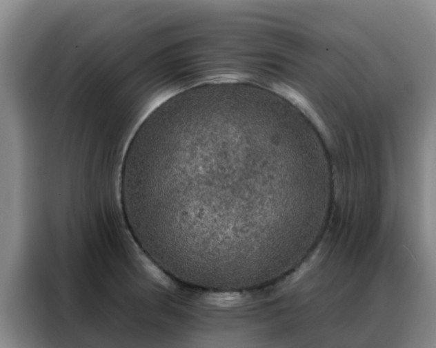 X0000088141186200705211130