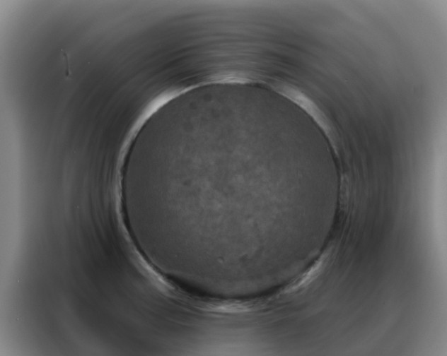 X0000088141187200705211129