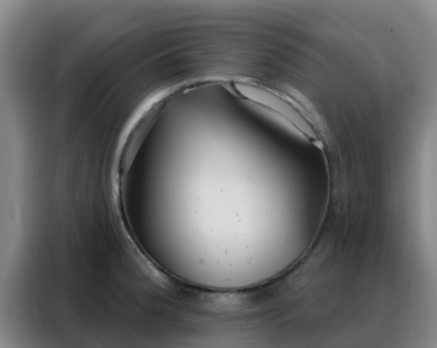 X0000088141188200705211129