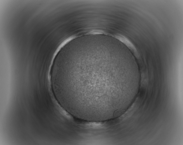 X0000088141190200705211129