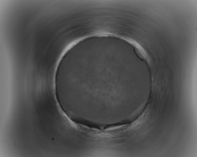 X0000088141191200705211129