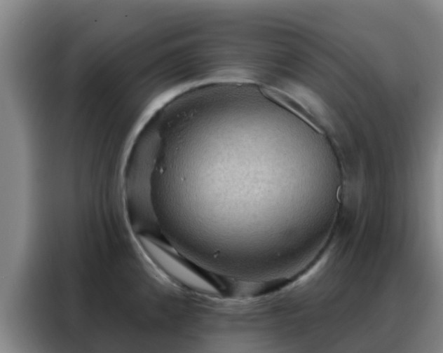 X0000088141192200705211129