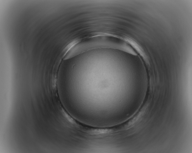 X0000088141193200705211129