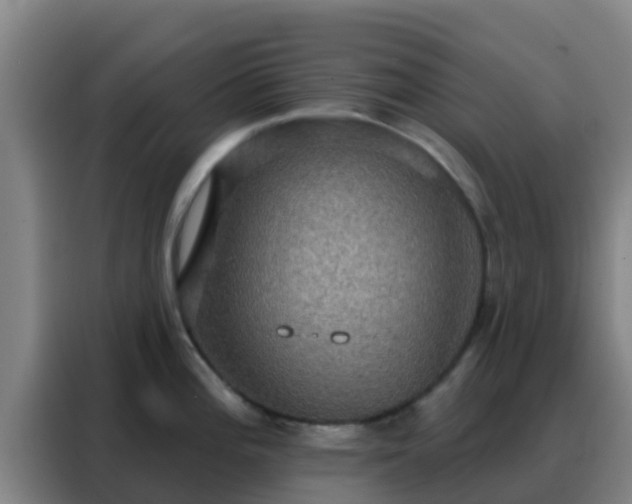 X0000088141196200705211129