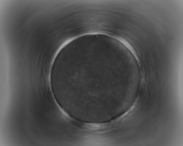 X0000088141197200705211129
