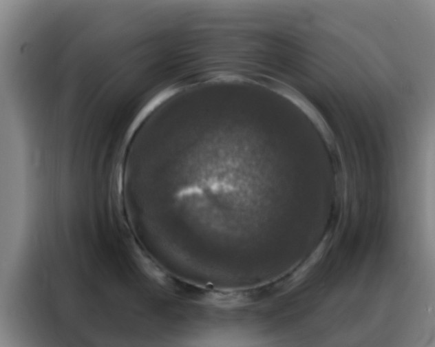 X0000088141198200705211129