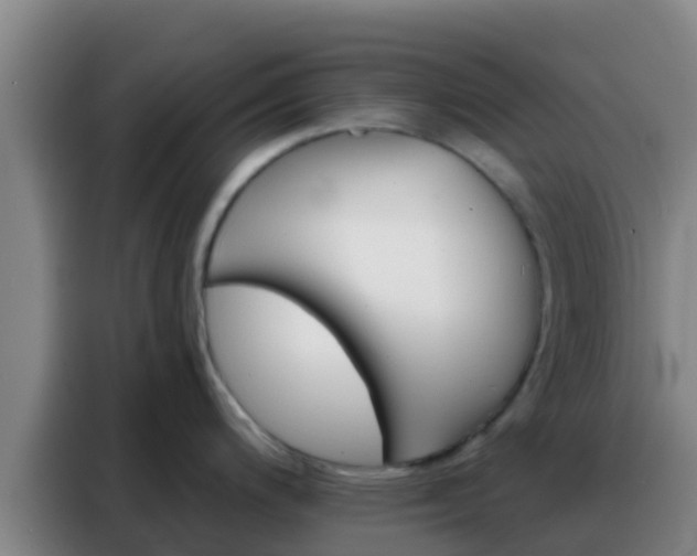 X0000088141200200705211129