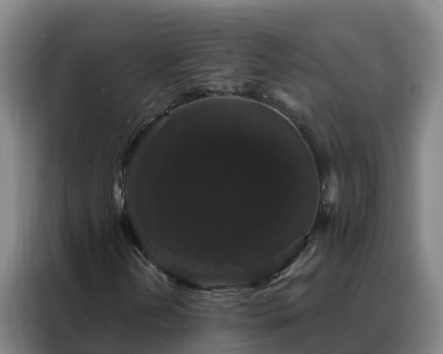 X0000088141202200705211129