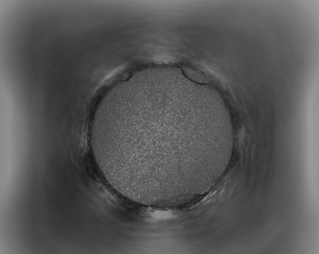 X0000088141205200705211129
