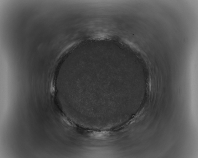 X0000088141206200705211129