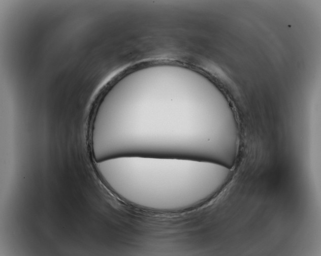 X0000088141216200705211129