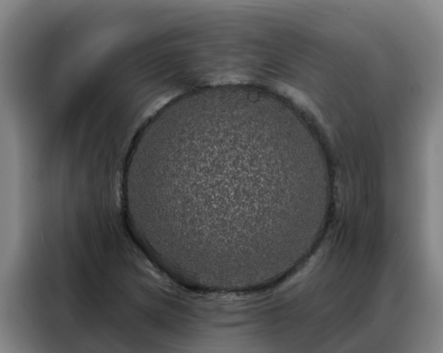 X0000088141217200705211129