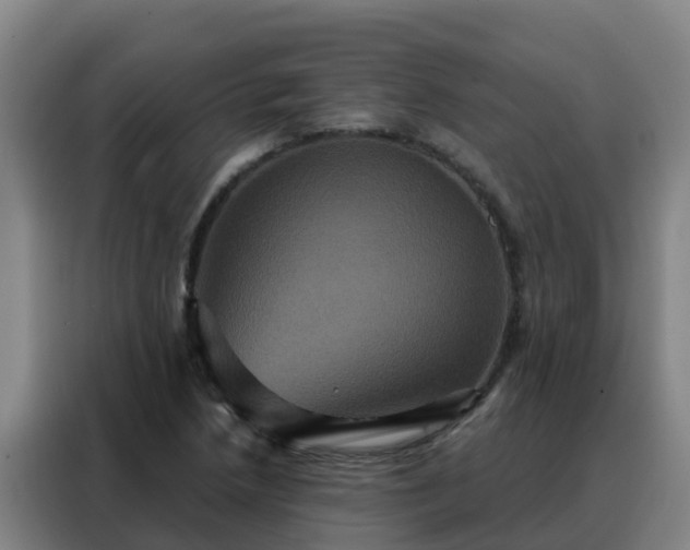 X0000088141218200705211129