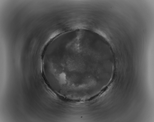 X0000088141219200705211129