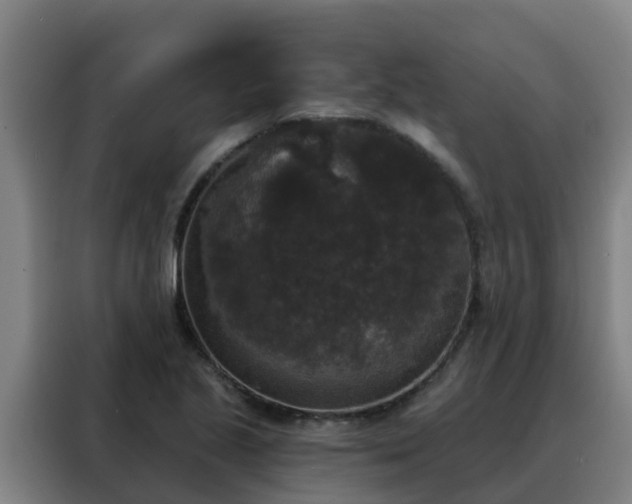 X0000088141221200705211129