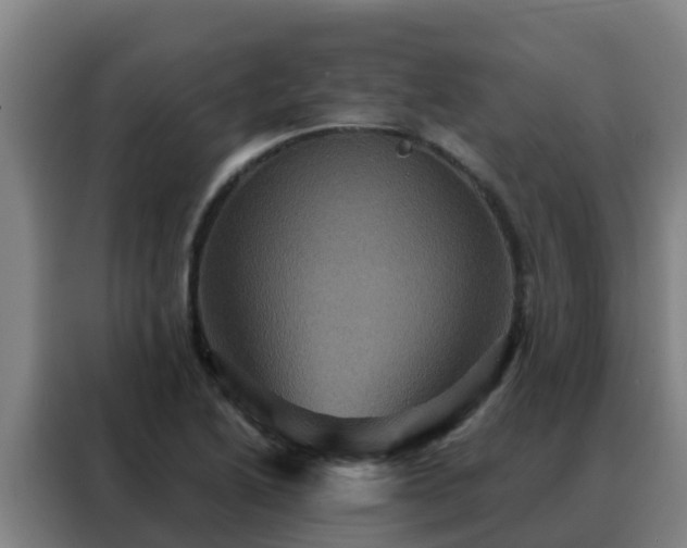X0000088141222200705211129