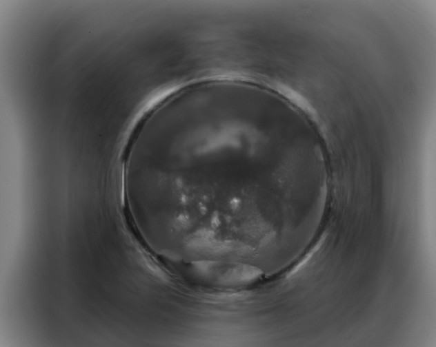 X0000088141223200705211129