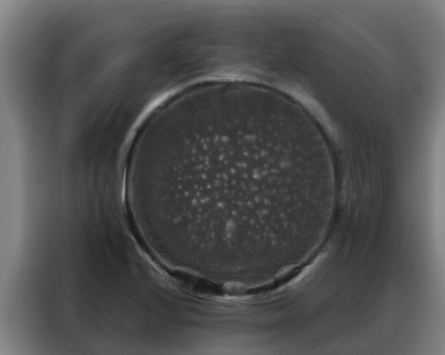 X0000088141224200705211129