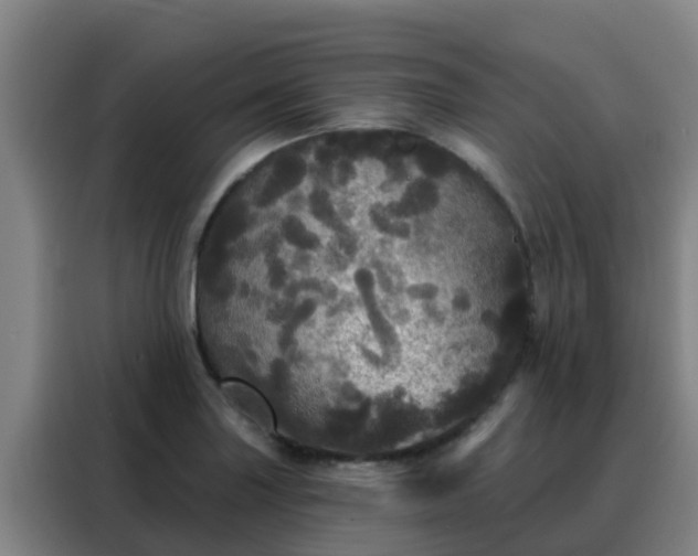 X0000088141227200705211129