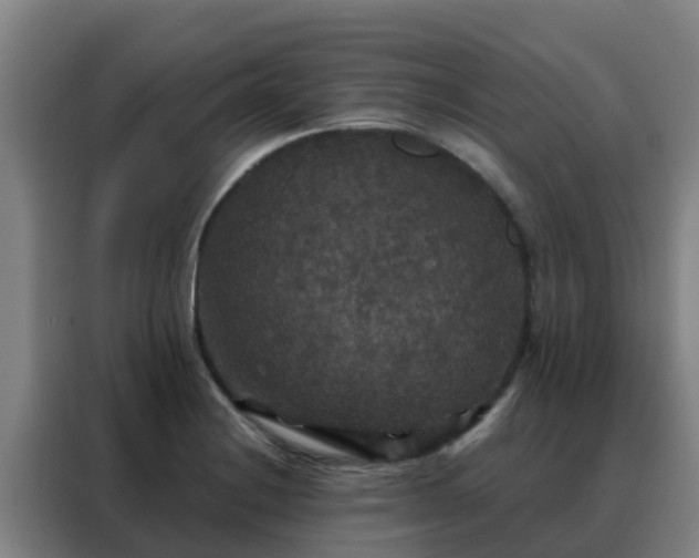 X0000088141228200705211129