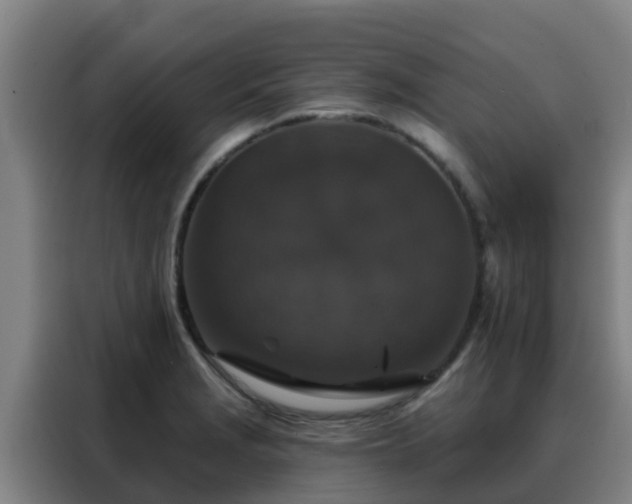 X0000088141229200705211129