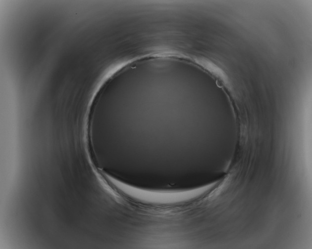 X0000088141231200705211129