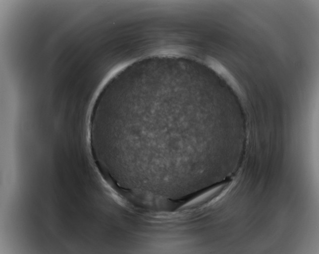 X0000088141232200705211129