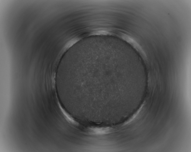 X0000088141233200705211129