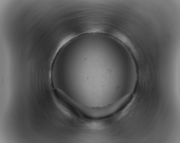 X0000088141234200705211129