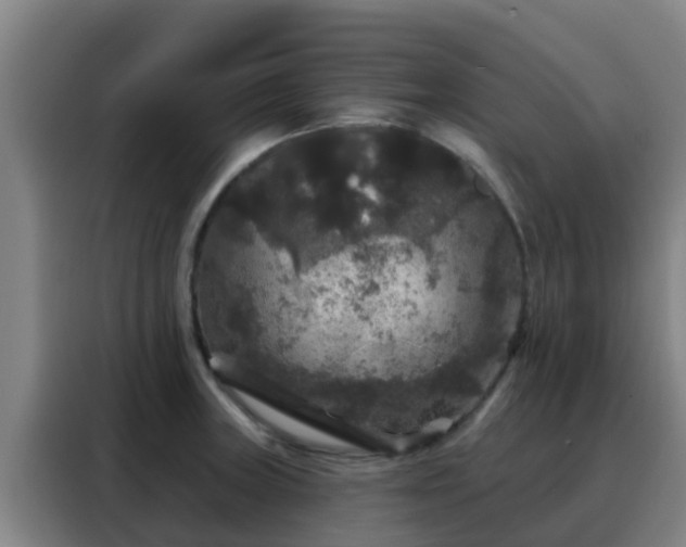 X0000088141235200705211129