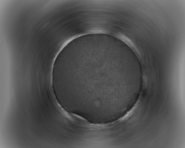 X0000088141236200705211129