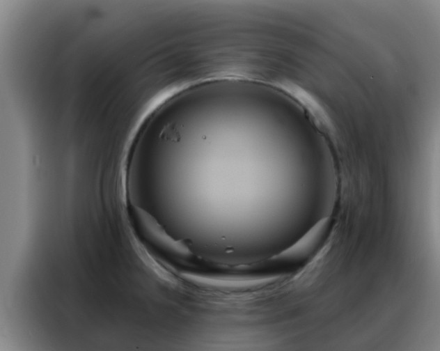 X0000088141238200705211129