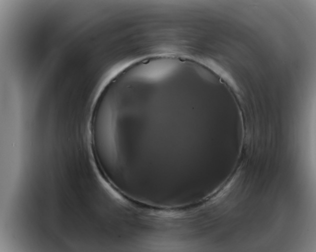 X0000088141239200705211129