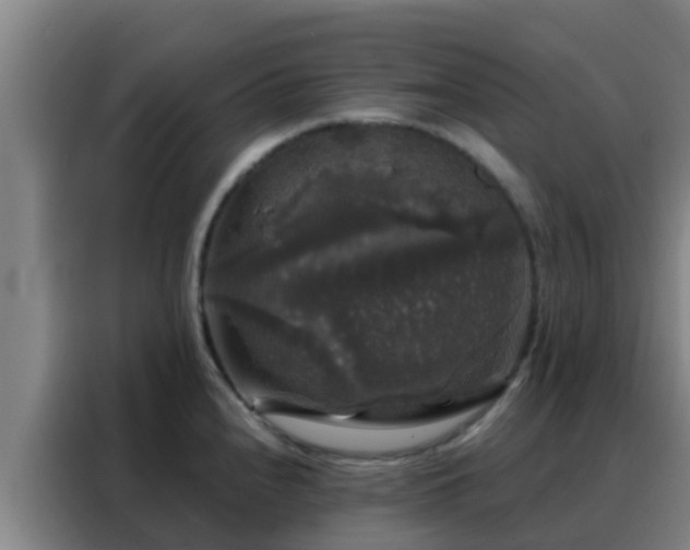 X0000088141240200705211129