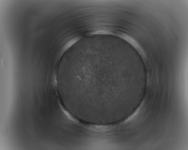 X0000088141241200705211129