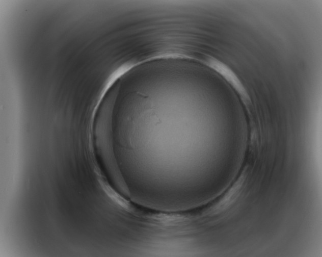 X0000088141242200705211129