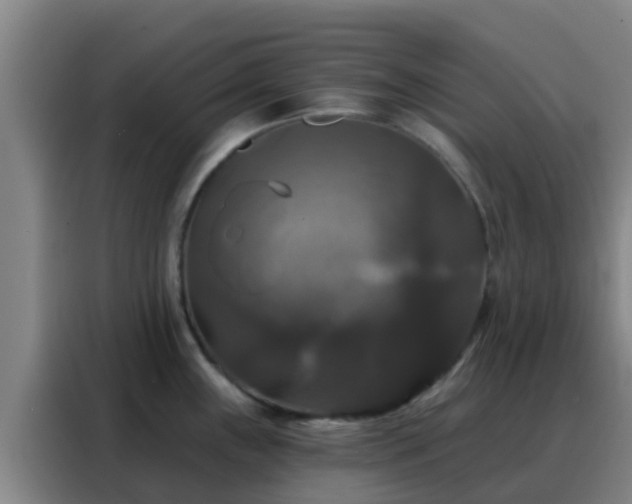 X0000088141243200705211129
