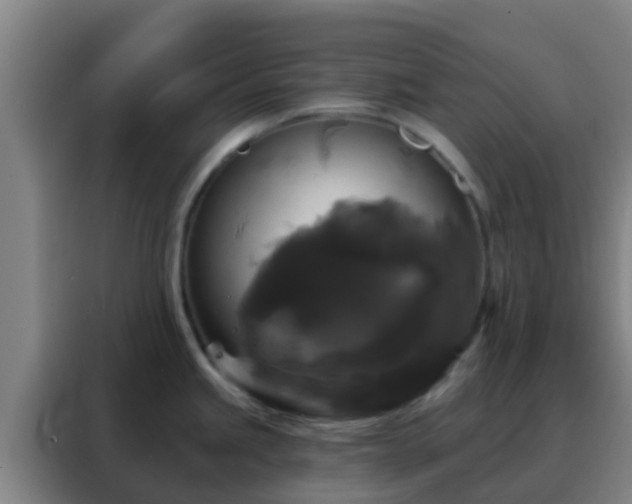 X0000088141245200705211129