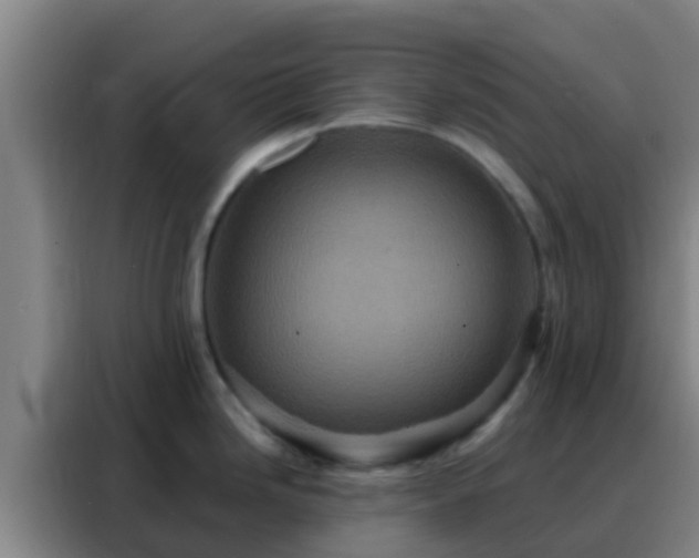 X0000088141246200705211129