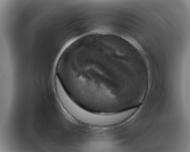 X0000088141248200705211129