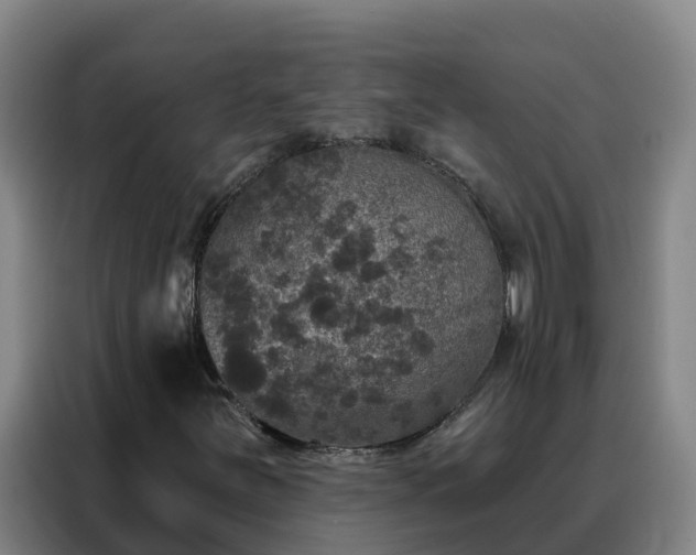 X0000088141251200705211129