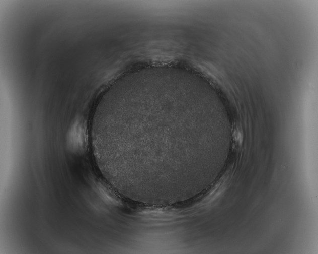 X0000088141252200705211129