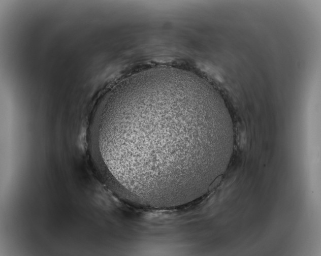 X0000088141253200705211129
