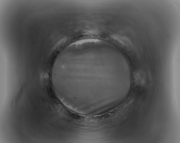 X0000088141254200705211129