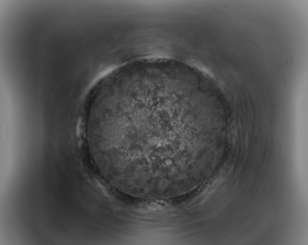 X0000088141255200705211129