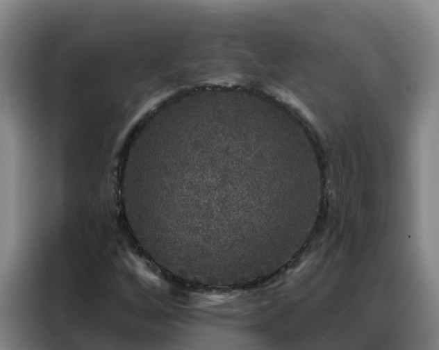X0000088141256200705211129